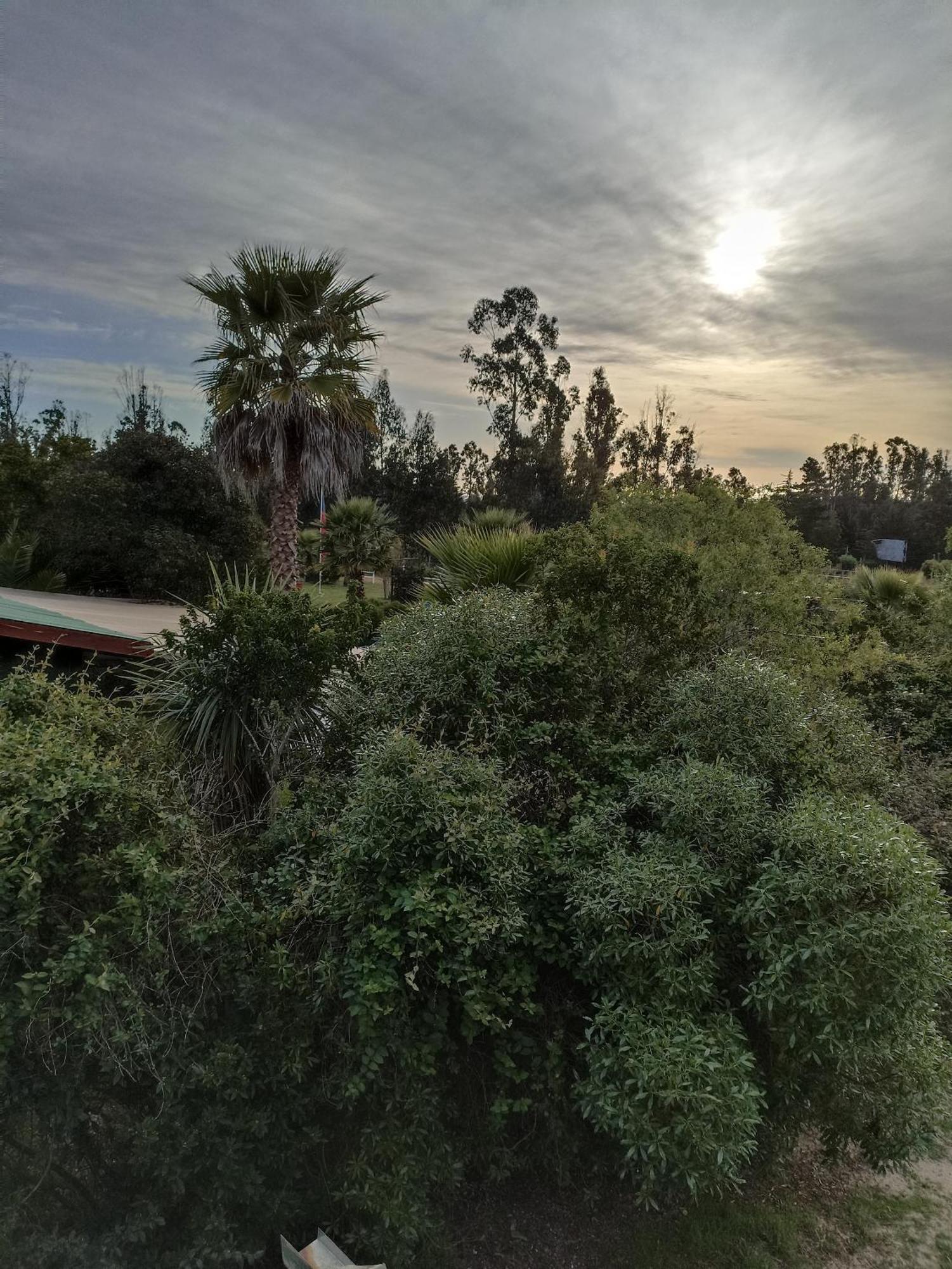 El Algarrobo Альгарробо Экстерьер фото