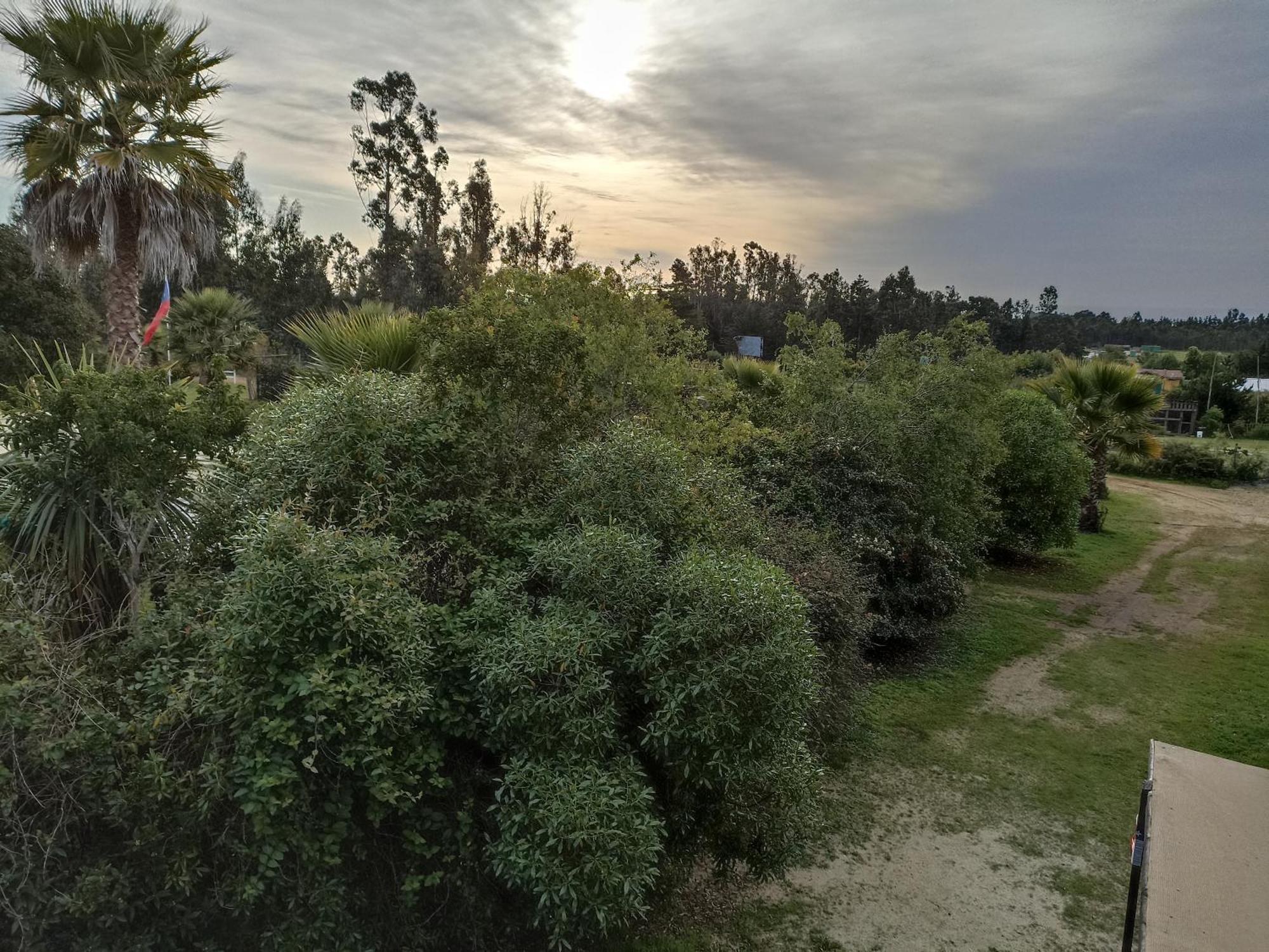 El Algarrobo Альгарробо Экстерьер фото