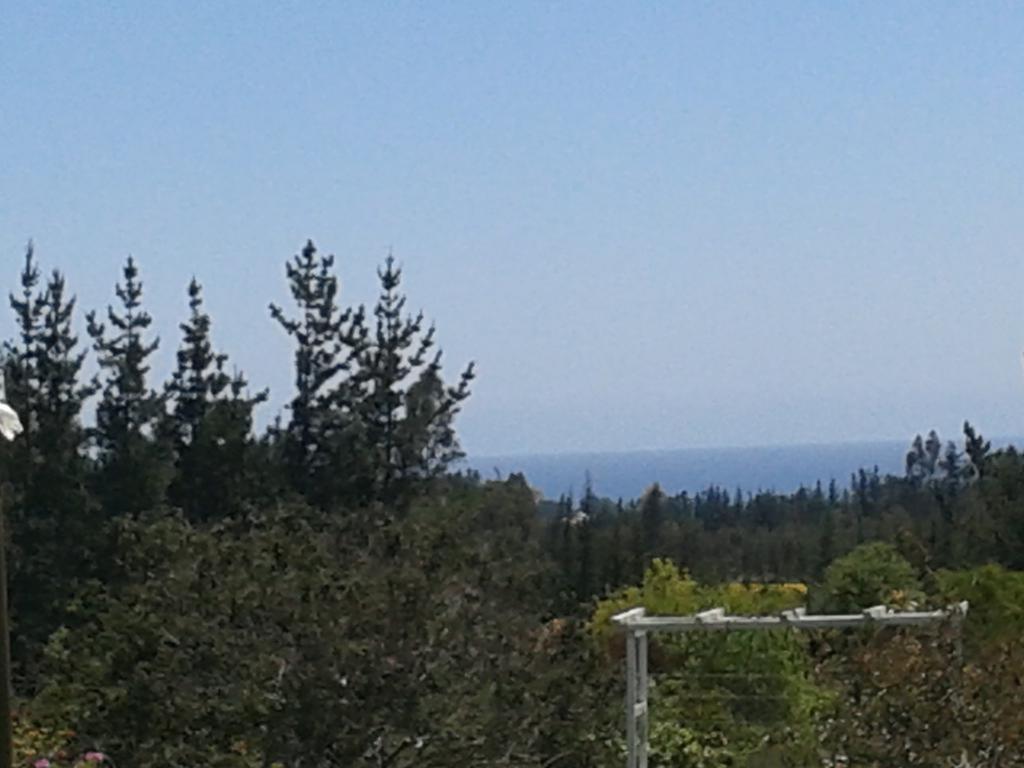 El Algarrobo Альгарробо Экстерьер фото