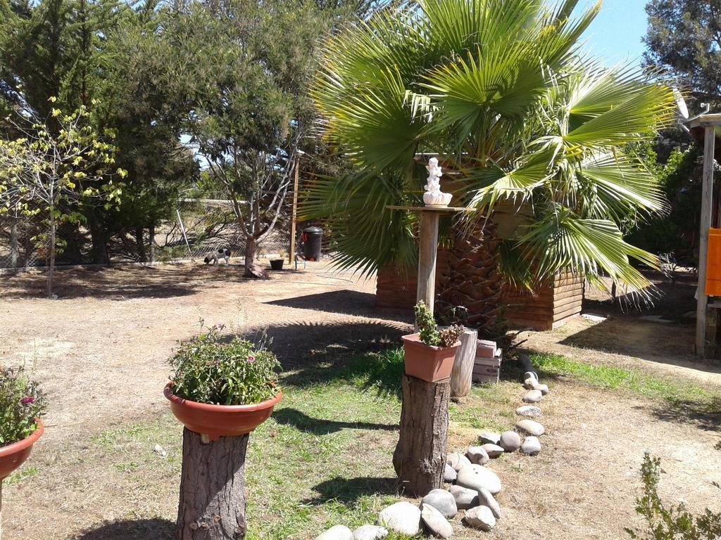 El Algarrobo Альгарробо Экстерьер фото
