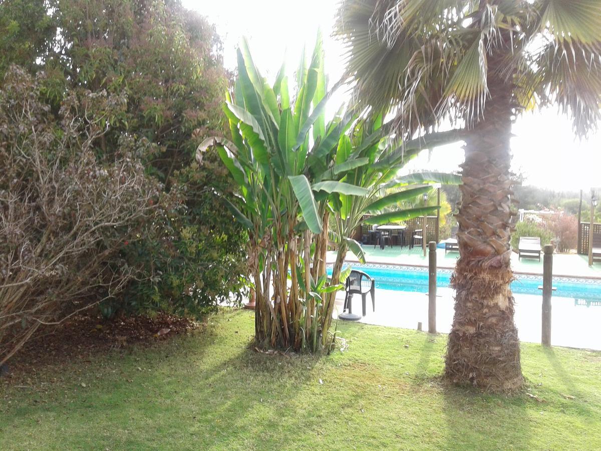 El Algarrobo Альгарробо Экстерьер фото